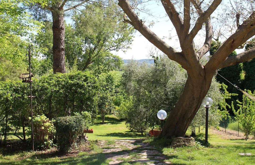 Campo Del Mare-1